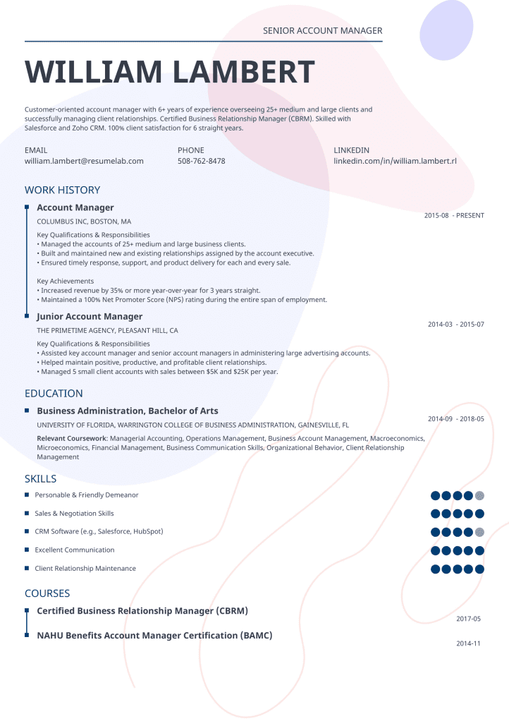 cv template impetus