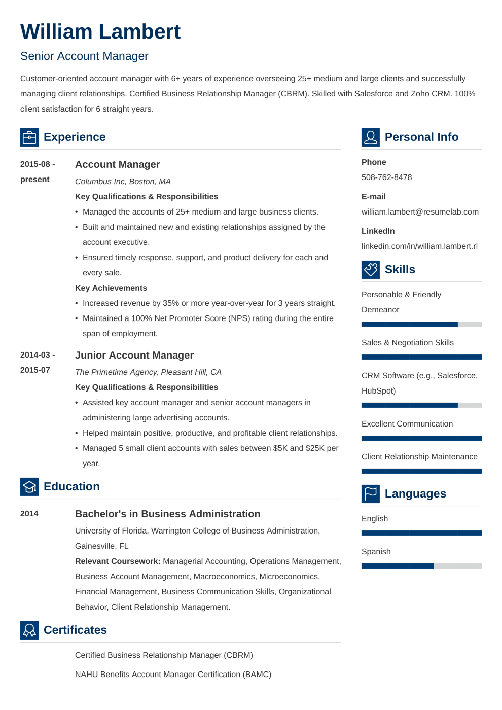 Resume Template Vibes