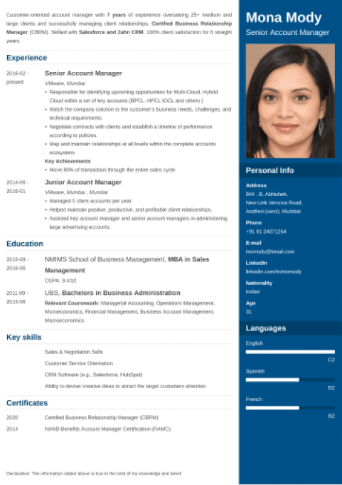 18+ Professional CV Formats: Curriculum Vitae to Download