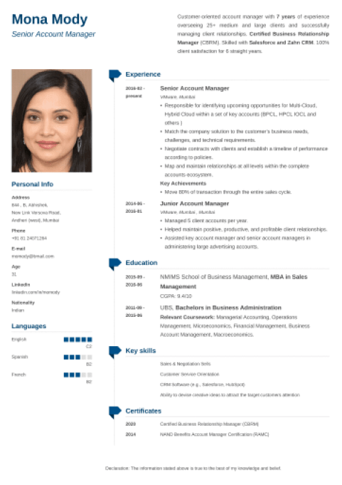 18+ Professional CV Formats: Curriculum Vitae to Download