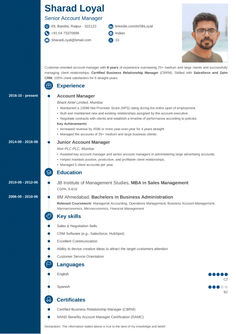 18+ Professional CV Templates: Curriculum Vitae to Download