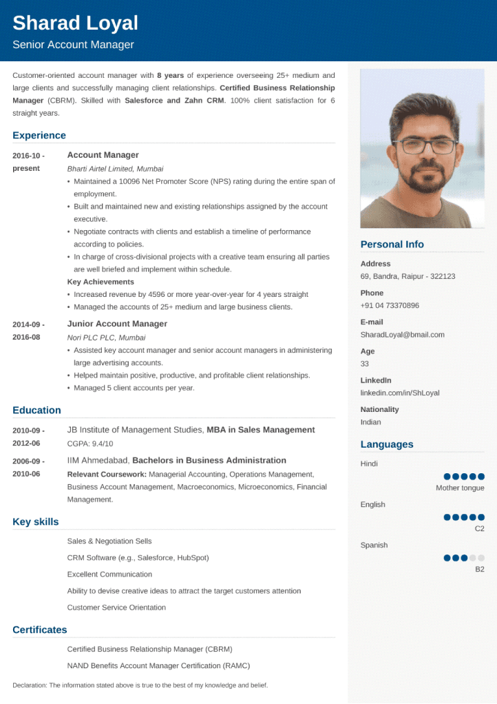 18+ Professional CV Templates: Curriculum Vitae to Download