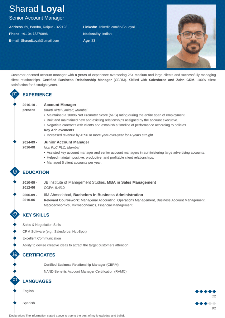 18+ Professional CV Templates: Curriculum Vitae to Download