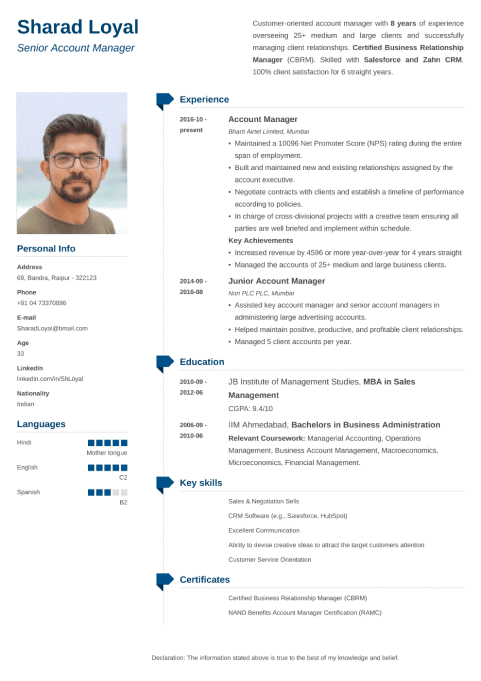 18+ Professional CV Templates: Curriculum Vitae to Download