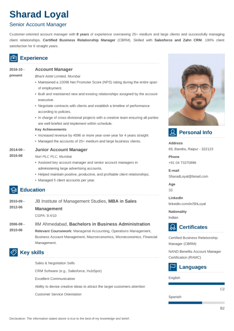 18+ Professional CV Templates: Curriculum Vitae to Download