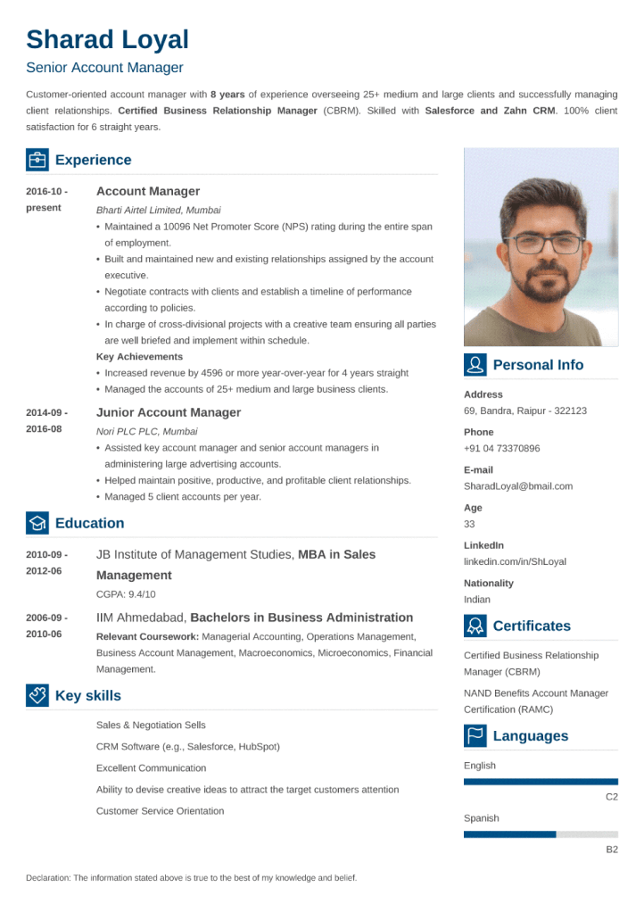 Vibes Indian CV Template