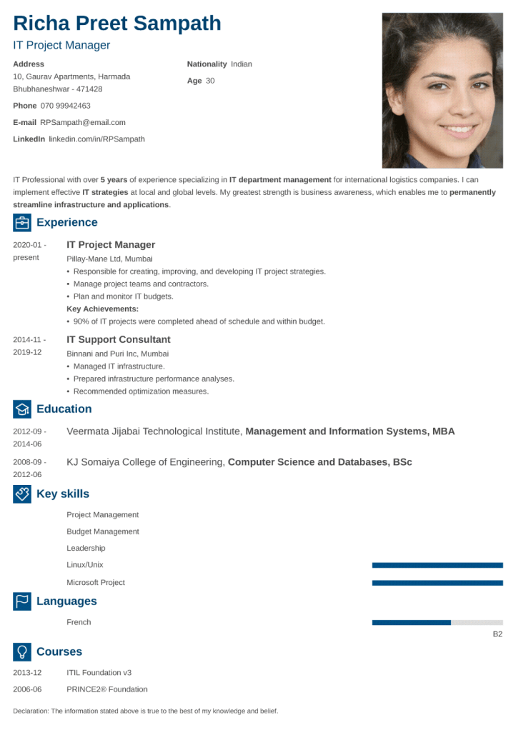 Resume Template Enfold