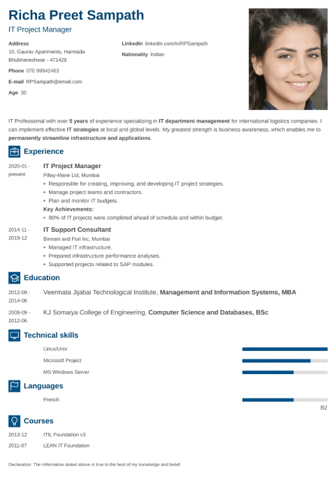 18+ Professional Resume Templates: Fill in the Blanks & Land a Job