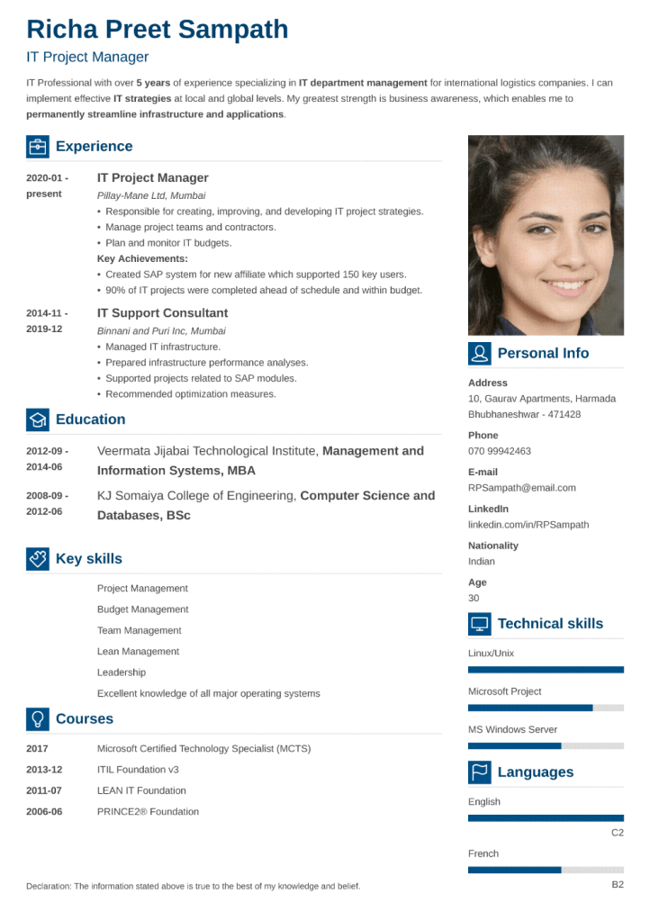 Resume Template Vibes