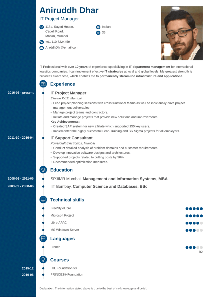 Professional Resume Builder Create A Resume Online Now