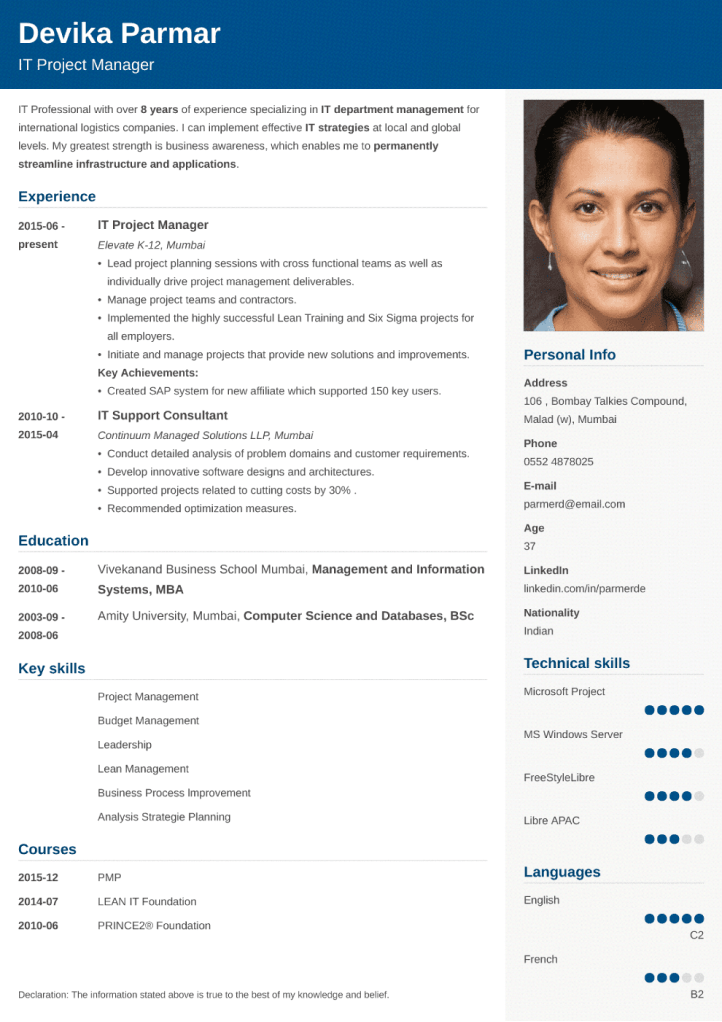 18+ Professional Resume Formats: Fill in the Blanks & Land a Job