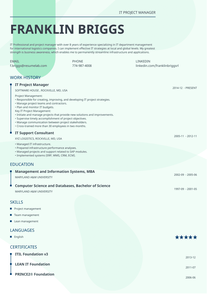 resume template lumina