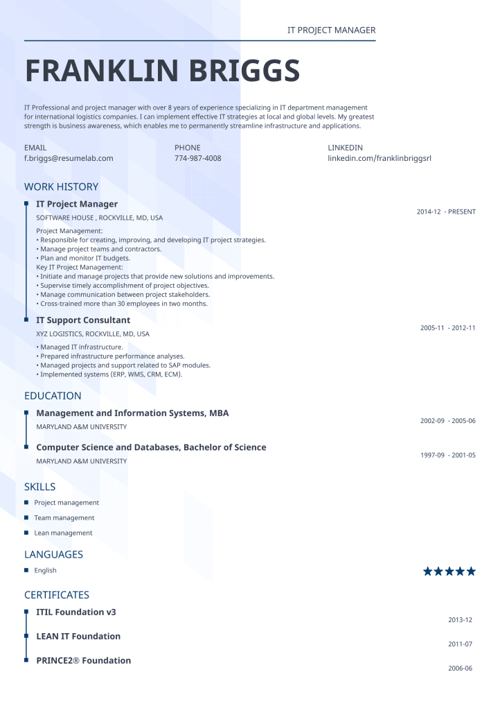 resume template synergy