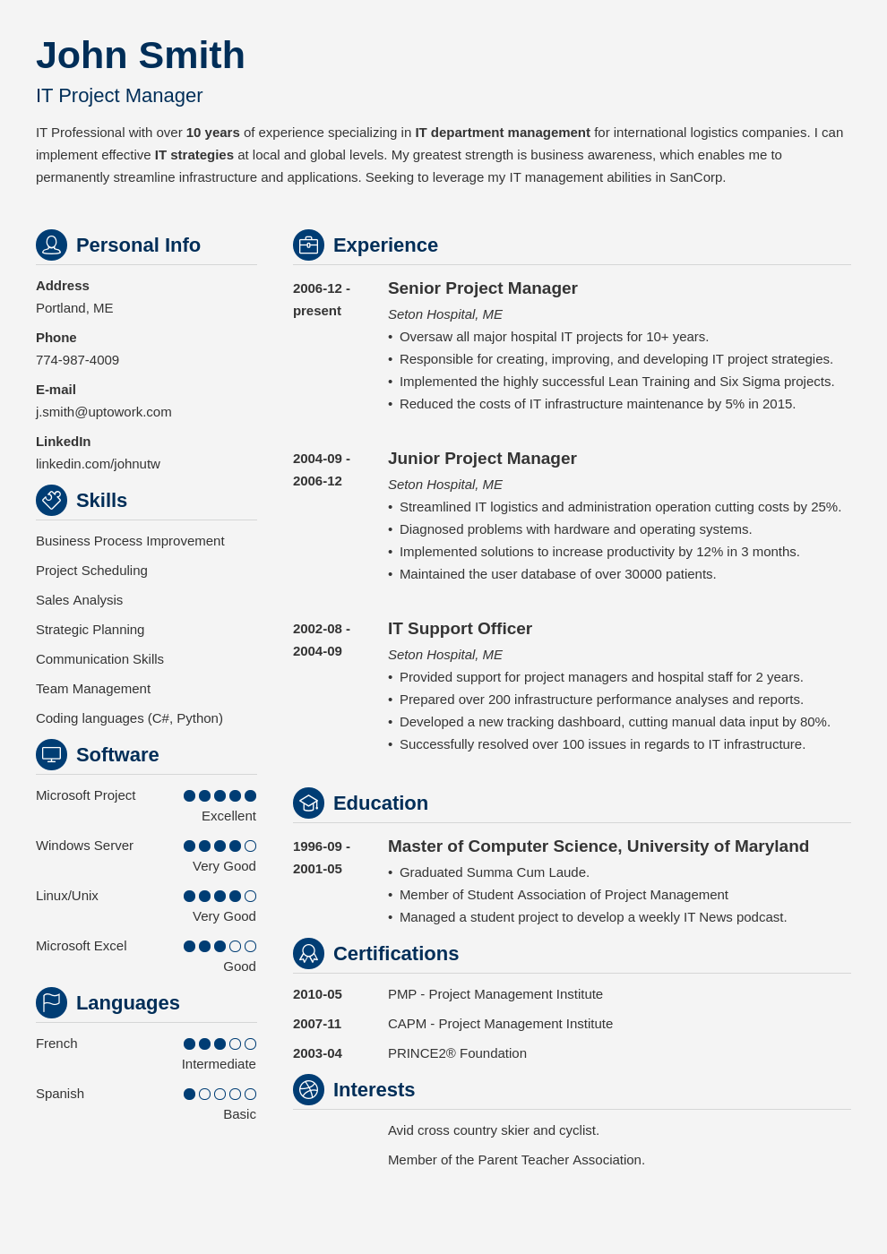 18+ Professional CV Templates: Curriculum Vitae to Download