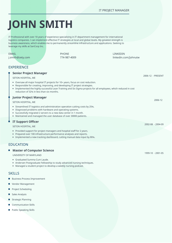 cv template lumina