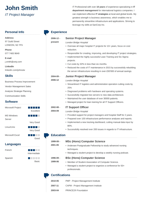 20+ CV Templates That Will Get You the Job in 2024