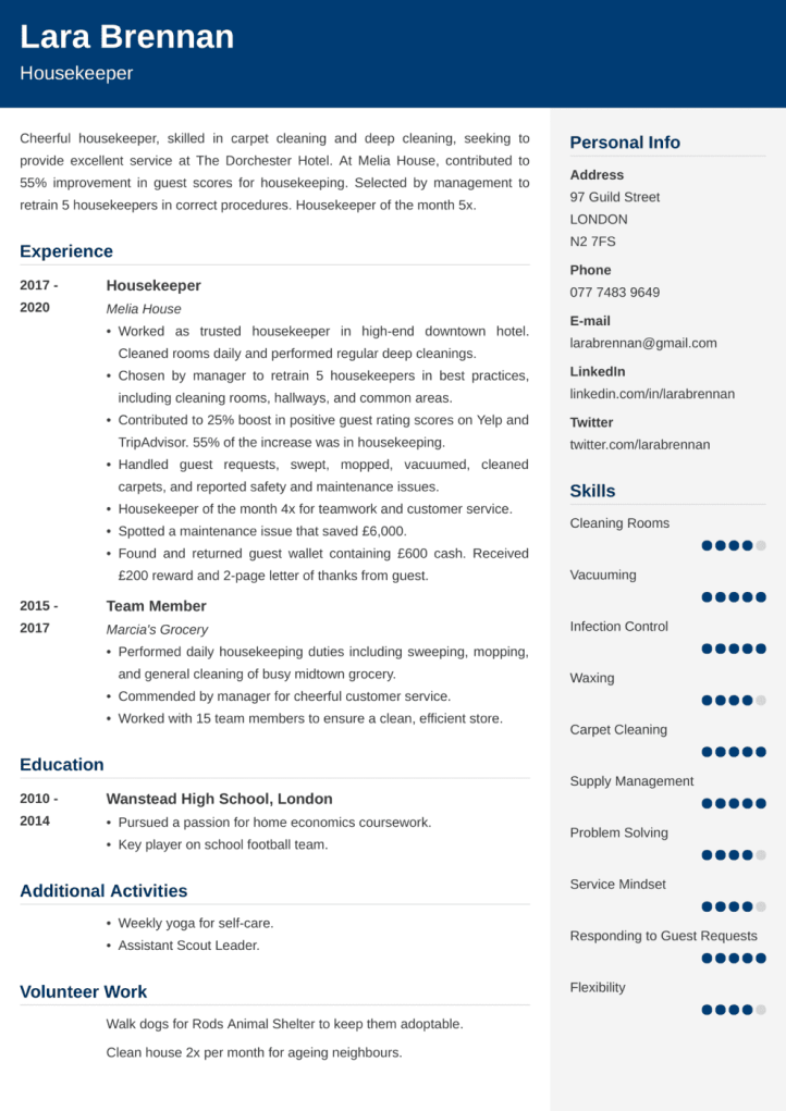 Good Cv Examples & Sample Cvs For The Uk