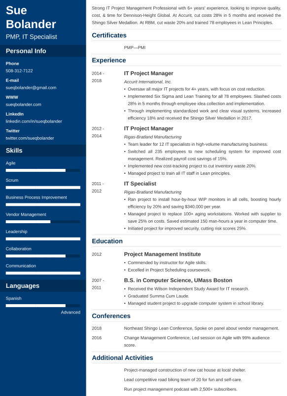 Project manager CV example