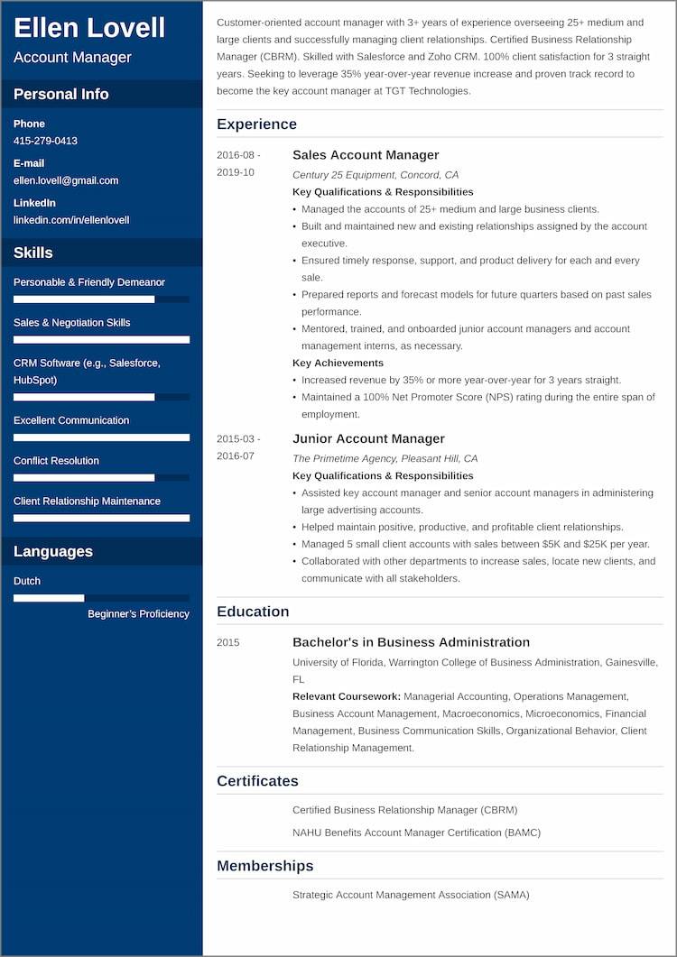 Account Manager CV Examples And 25 Writing Tips