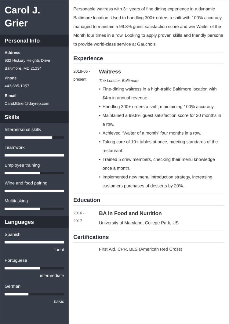 US CV Format American Resume Template Samples 