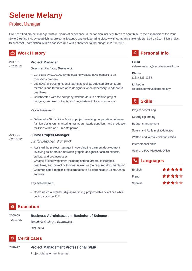ATS Resume Template - Vibes