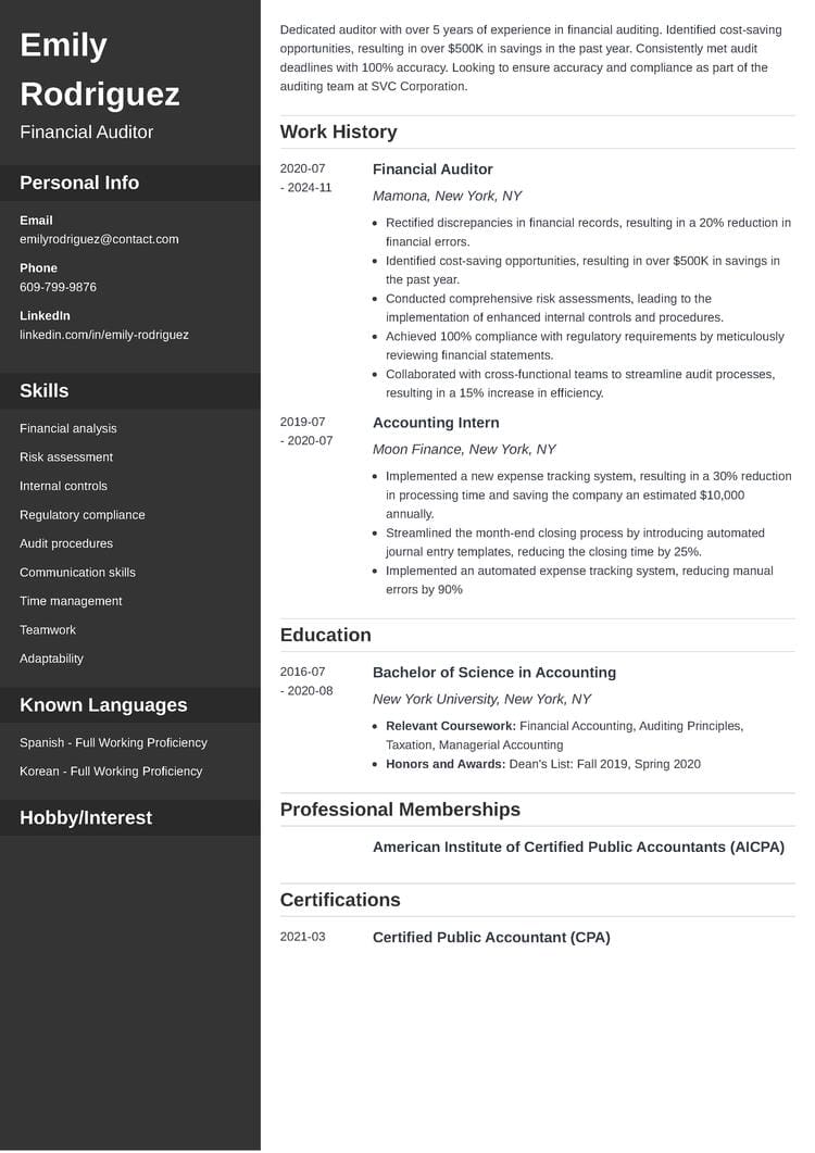 auditor resume example