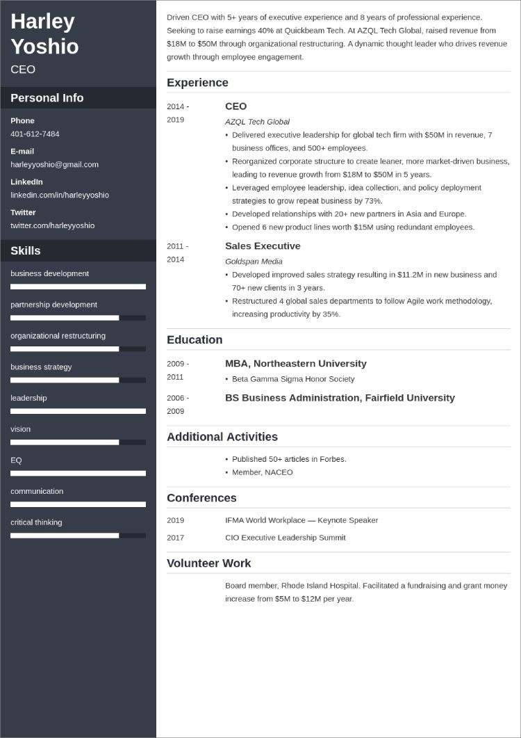 Ceo Resumeexamples And Writing Tips