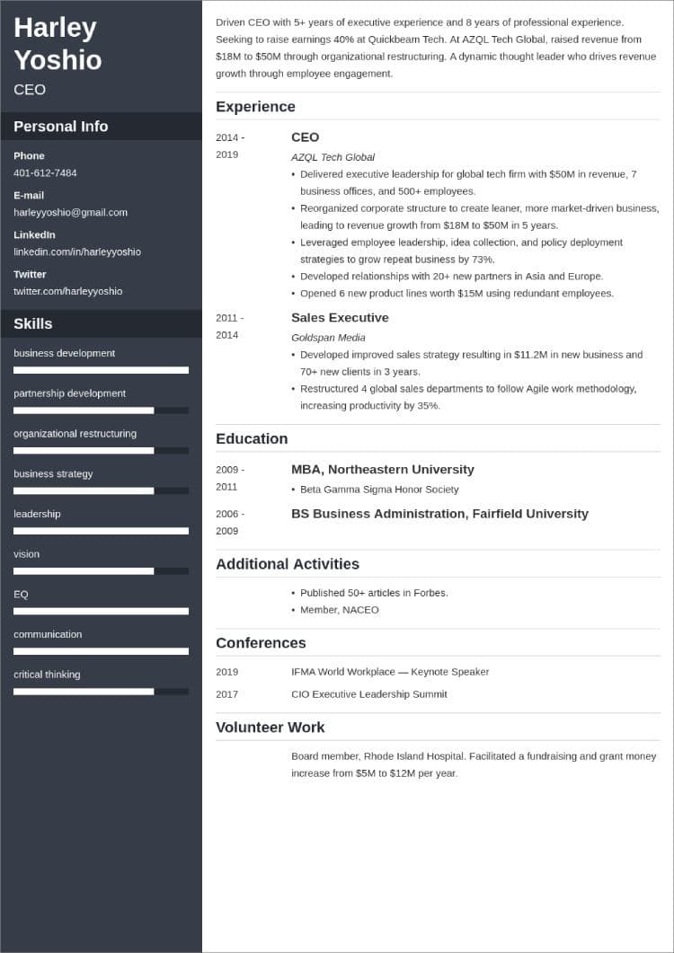 ceo resume example
