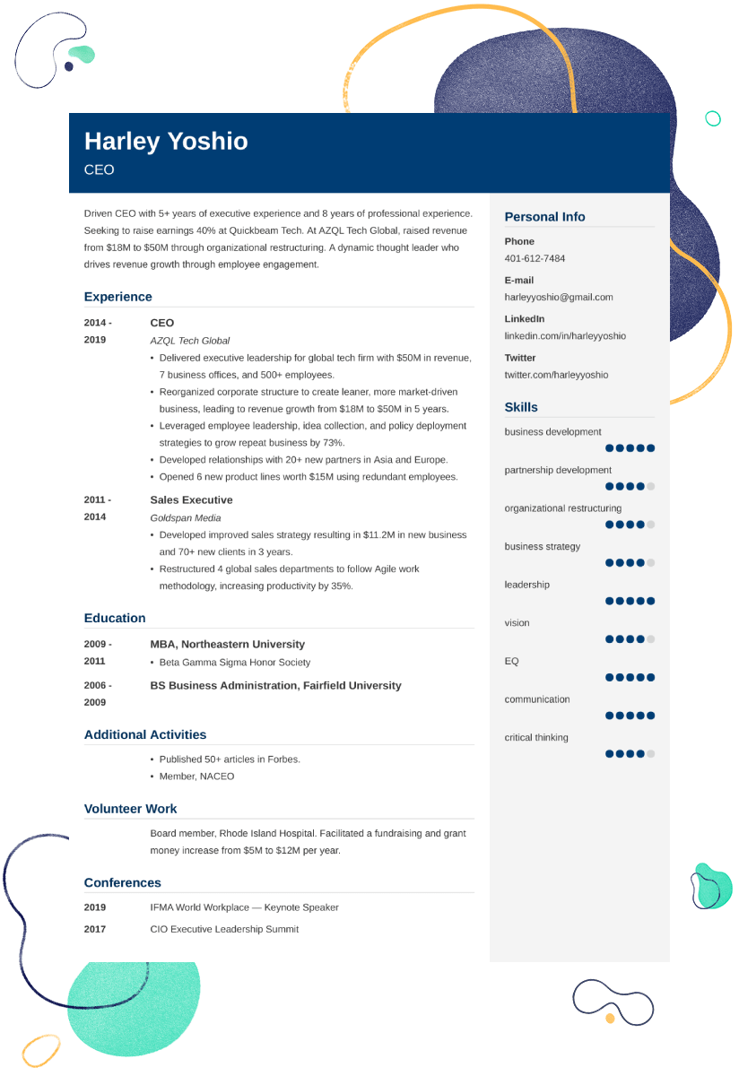 CEO CV Examples And 25 Writing Tips