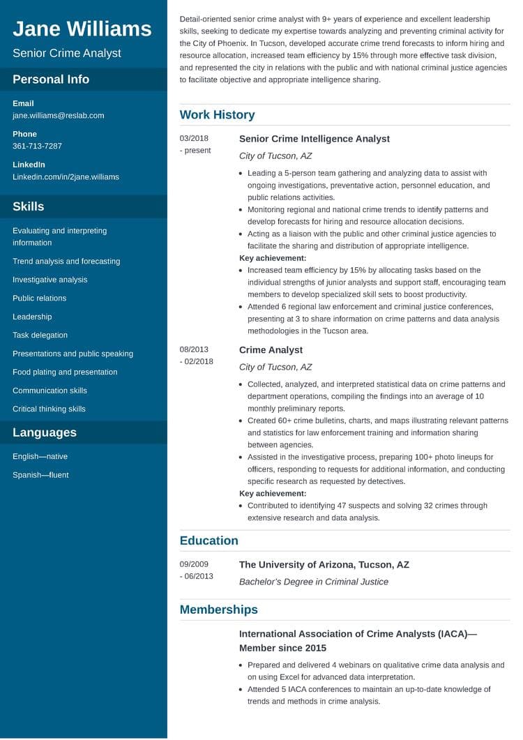 criminal justice resume example