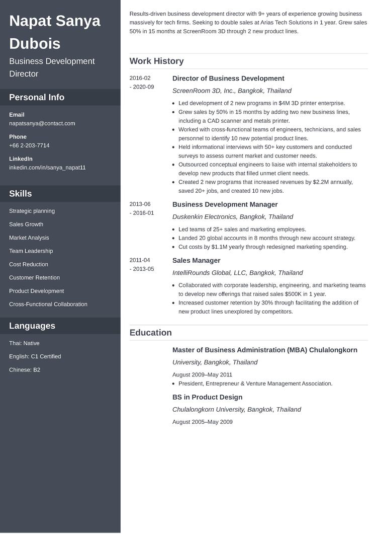 Europass Cv Editor Online Europass CV Template And Example