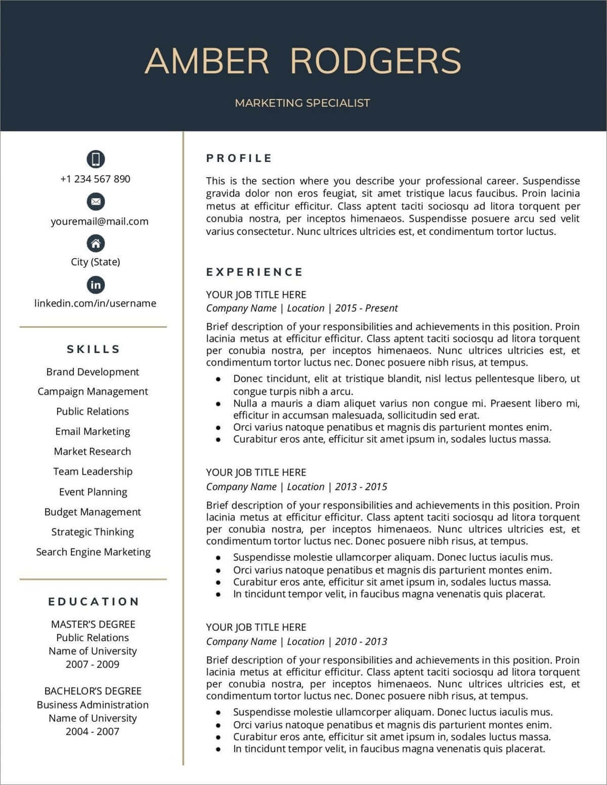 Resume Templates Professional MS Word Resume Template CEO  Executive Resume Google Docs Resume Google Docs with Cover Letter