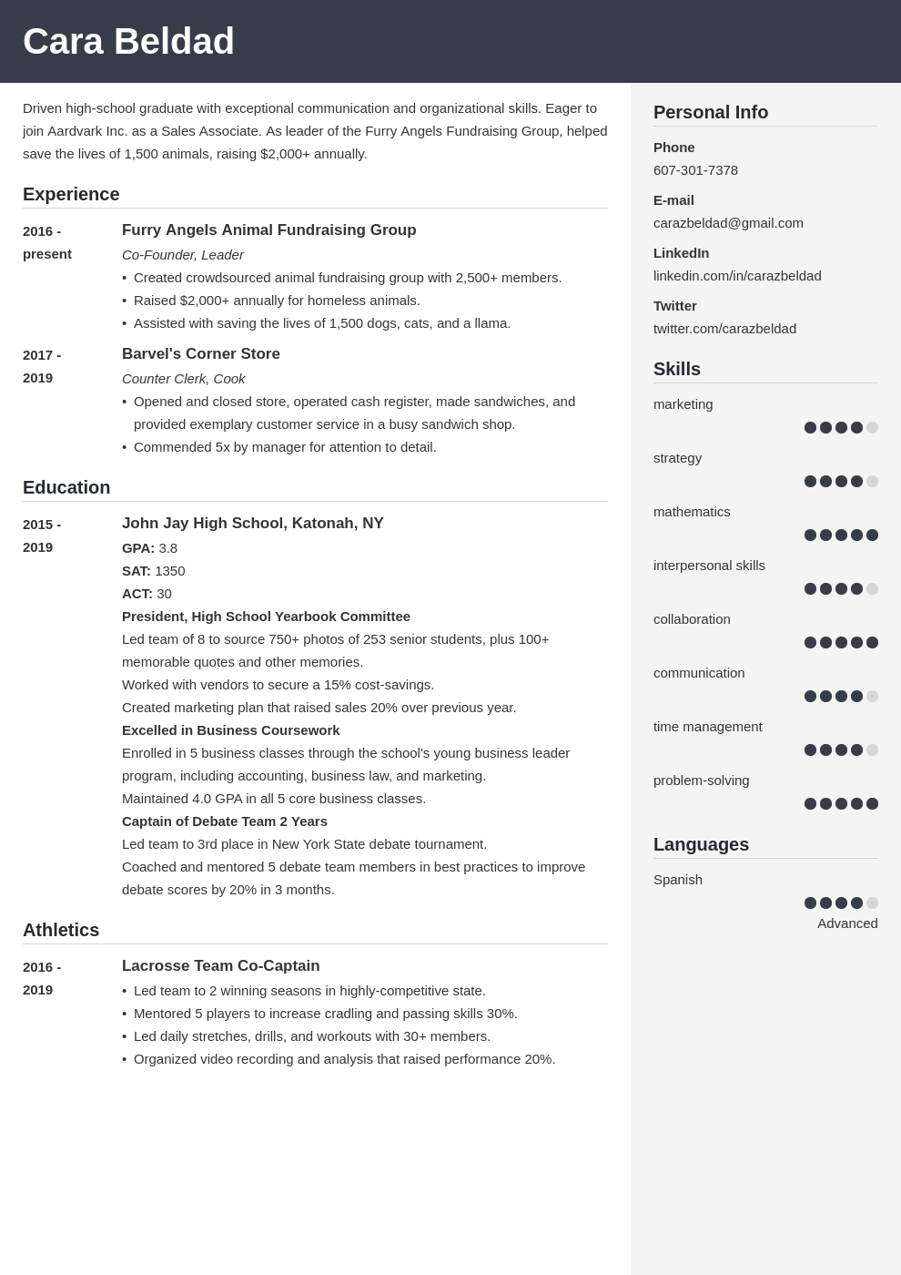 cv-summary-example-fresh-graduate-pulp