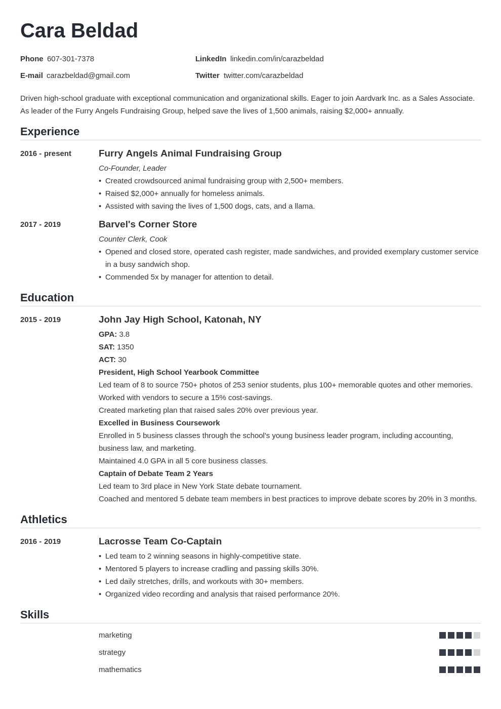 Resume Examples 2024 For High School Students In India Janel Lezlie