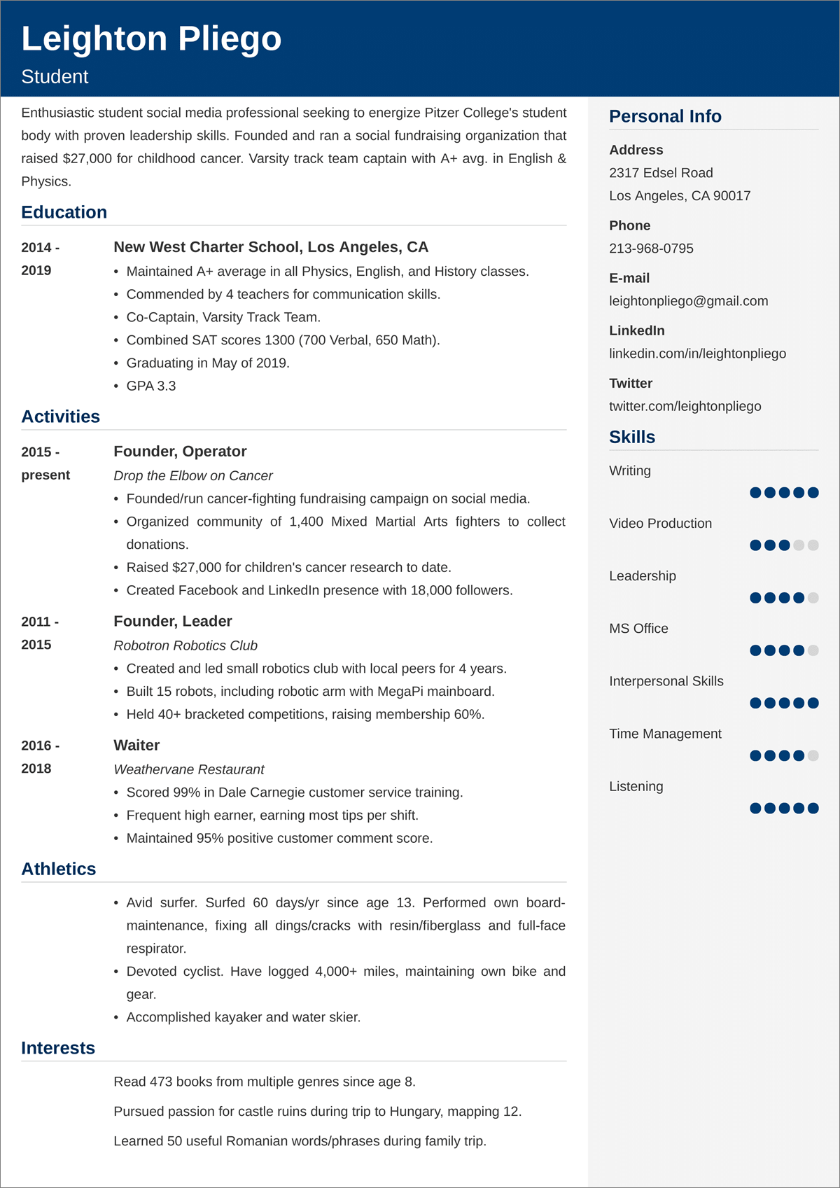 University Application CV Examples, Template, Writing Tips