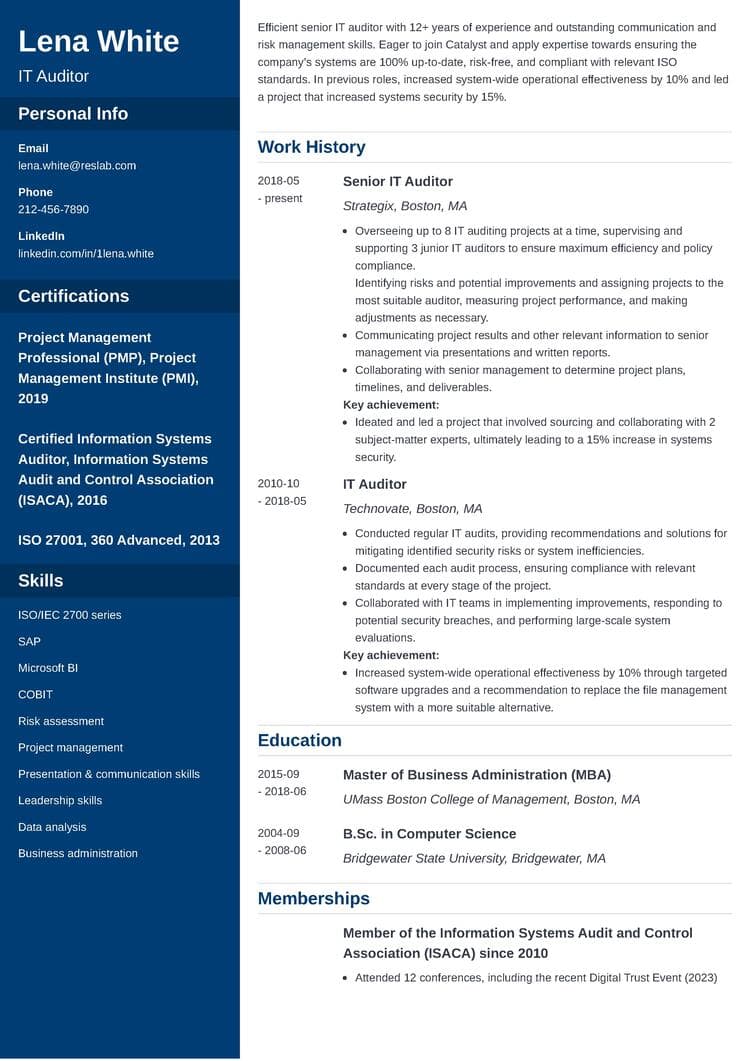 it auditor resume sample