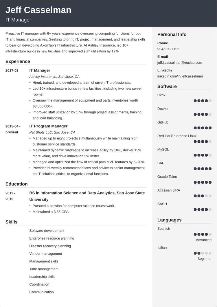 Information Technology / IT Manager Resume Examples & Tips