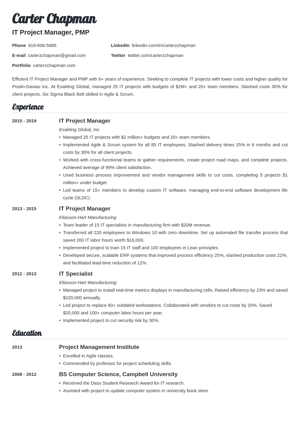 it project manager template valera