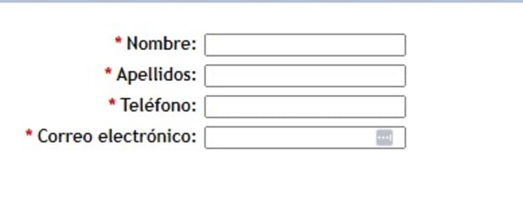 Datos personales - Lopesan currículum