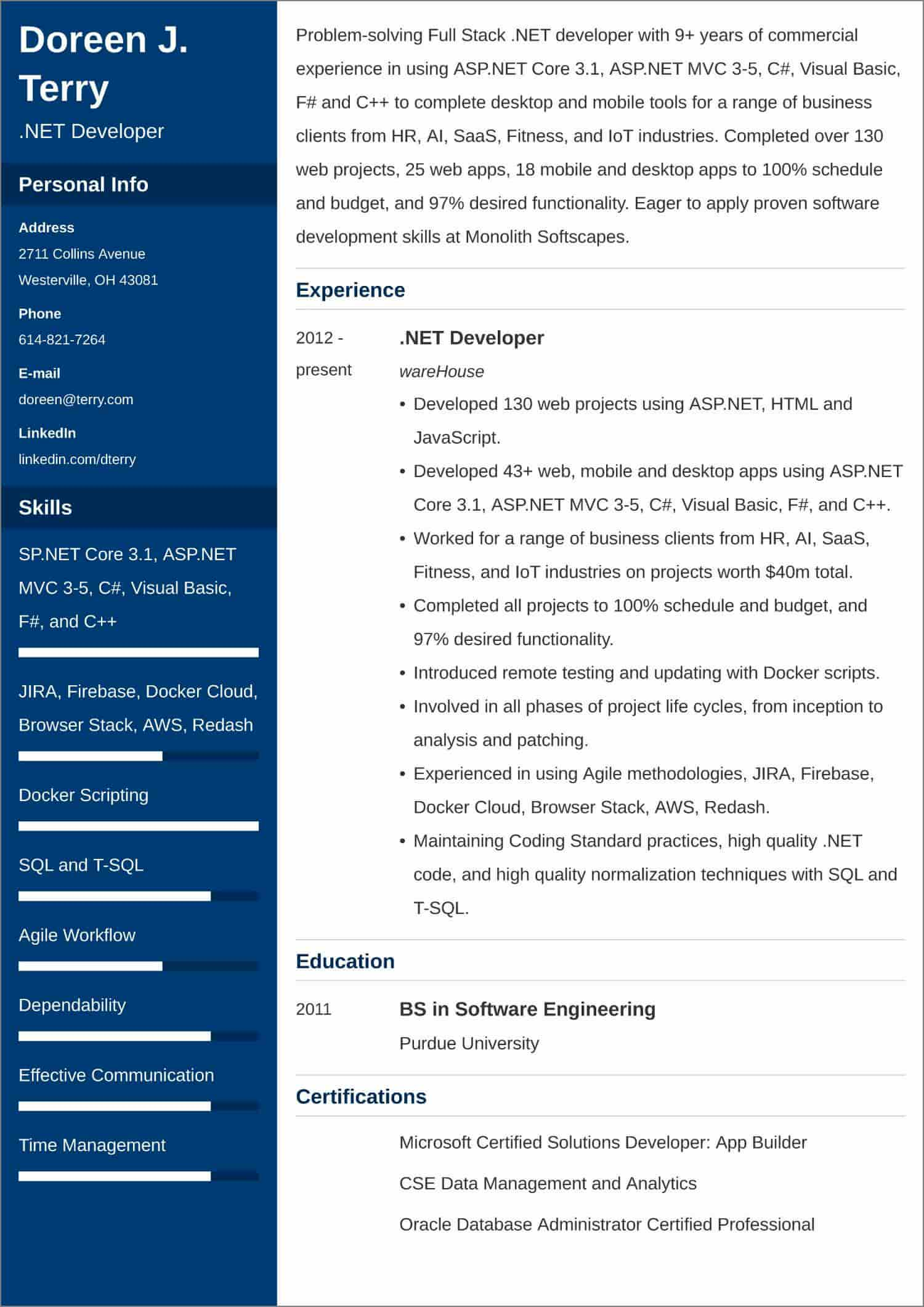 resume sample for .net developer