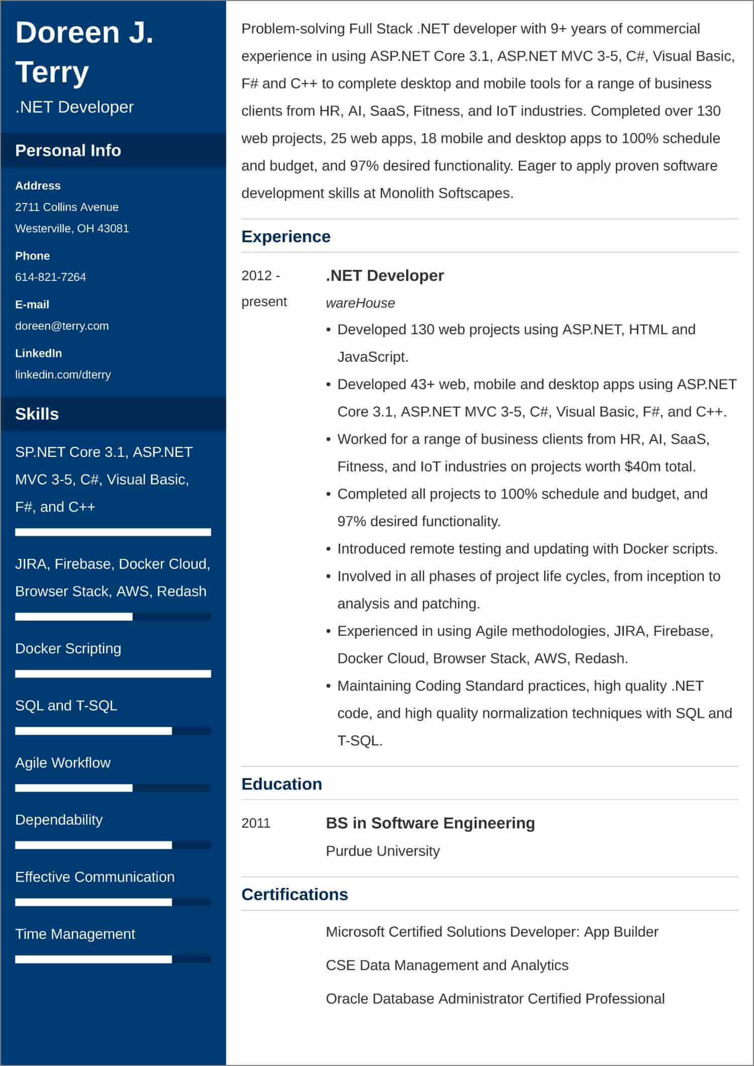 .NET developer CV templates