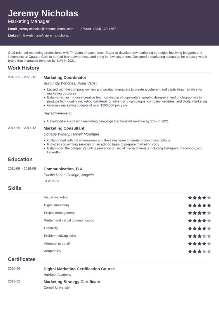one page resume template Influx