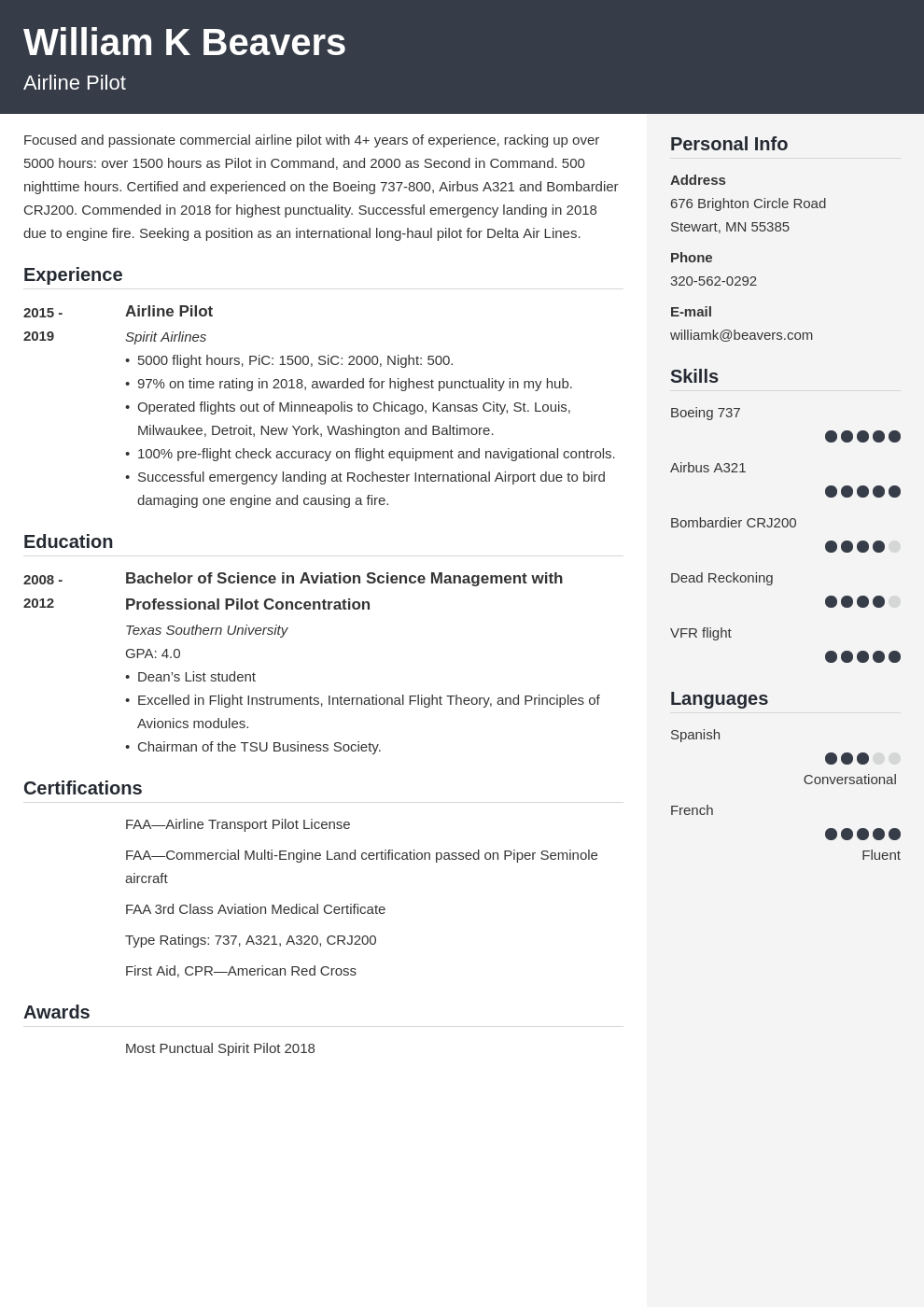 free professional pilot resume template