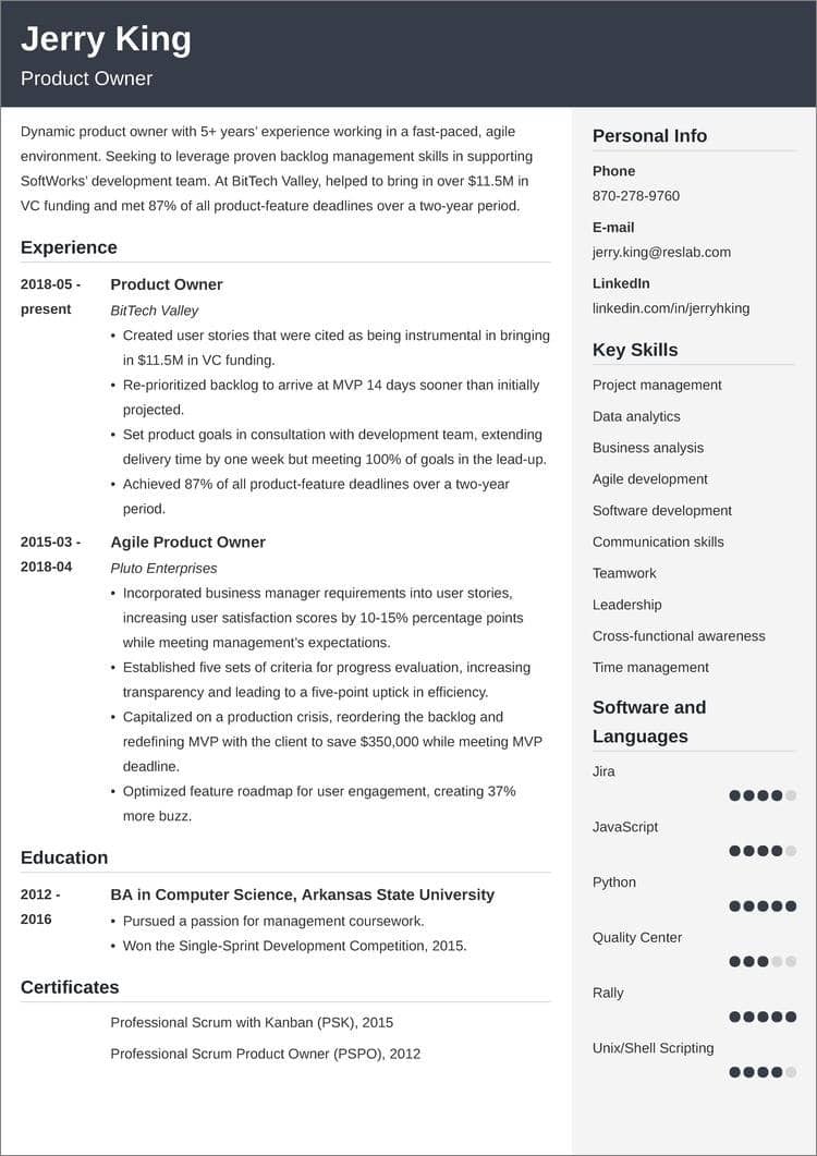 Product Owner Resume Template, Examples & Skills for 2024