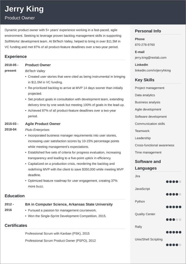 product owner resume templates