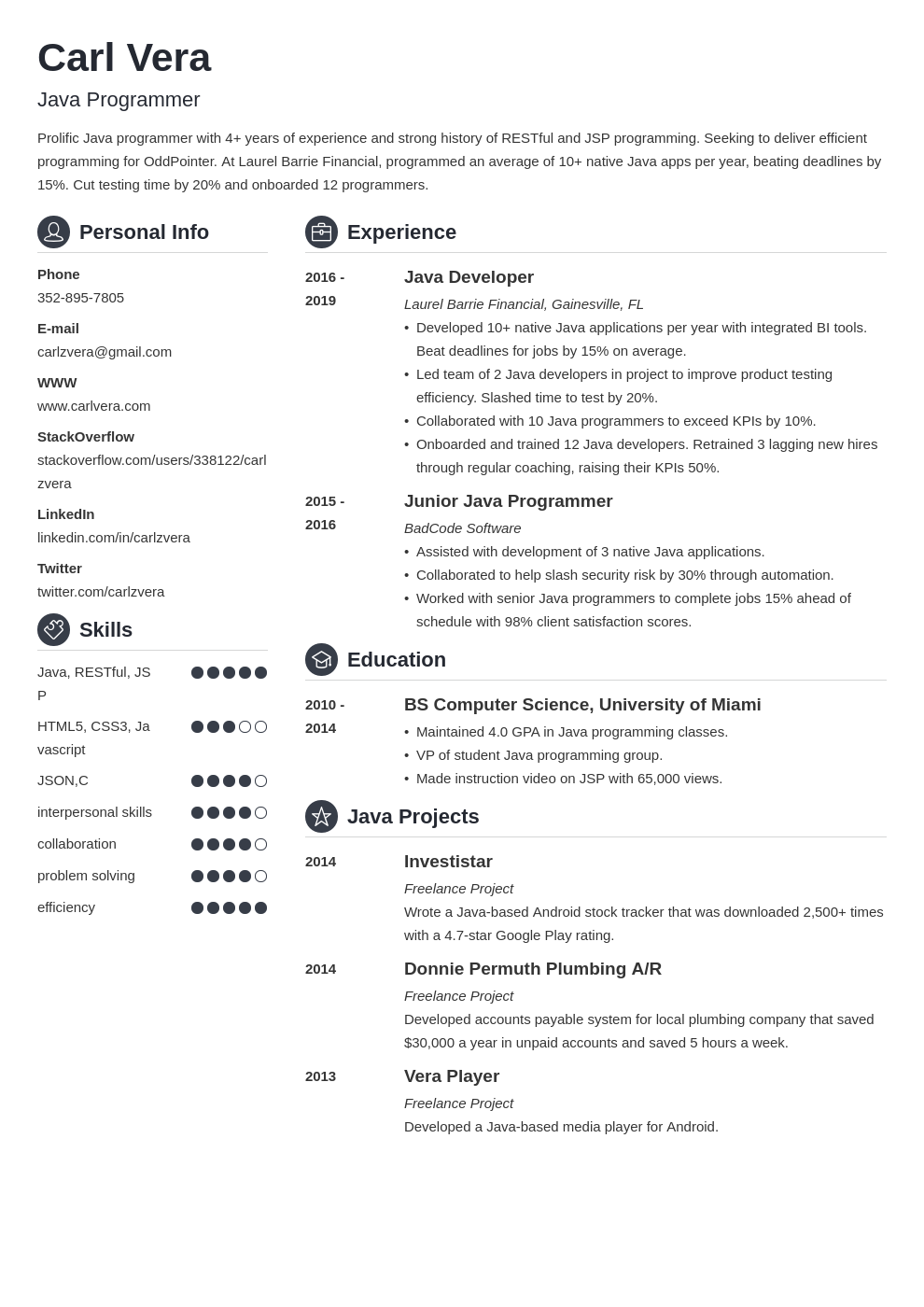 programmer resume template word free download