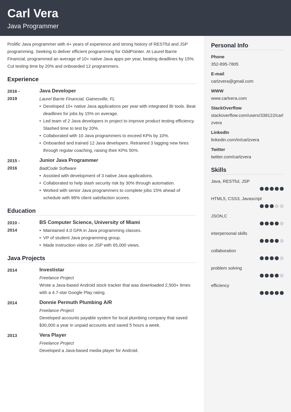 Programmer Resume Template Programmer Resume Examples For Almost Every Sector Needs