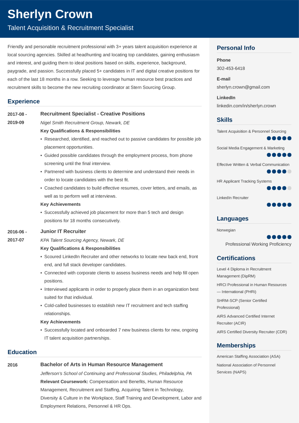 Sample Cv Portfolio Recruitment Riset