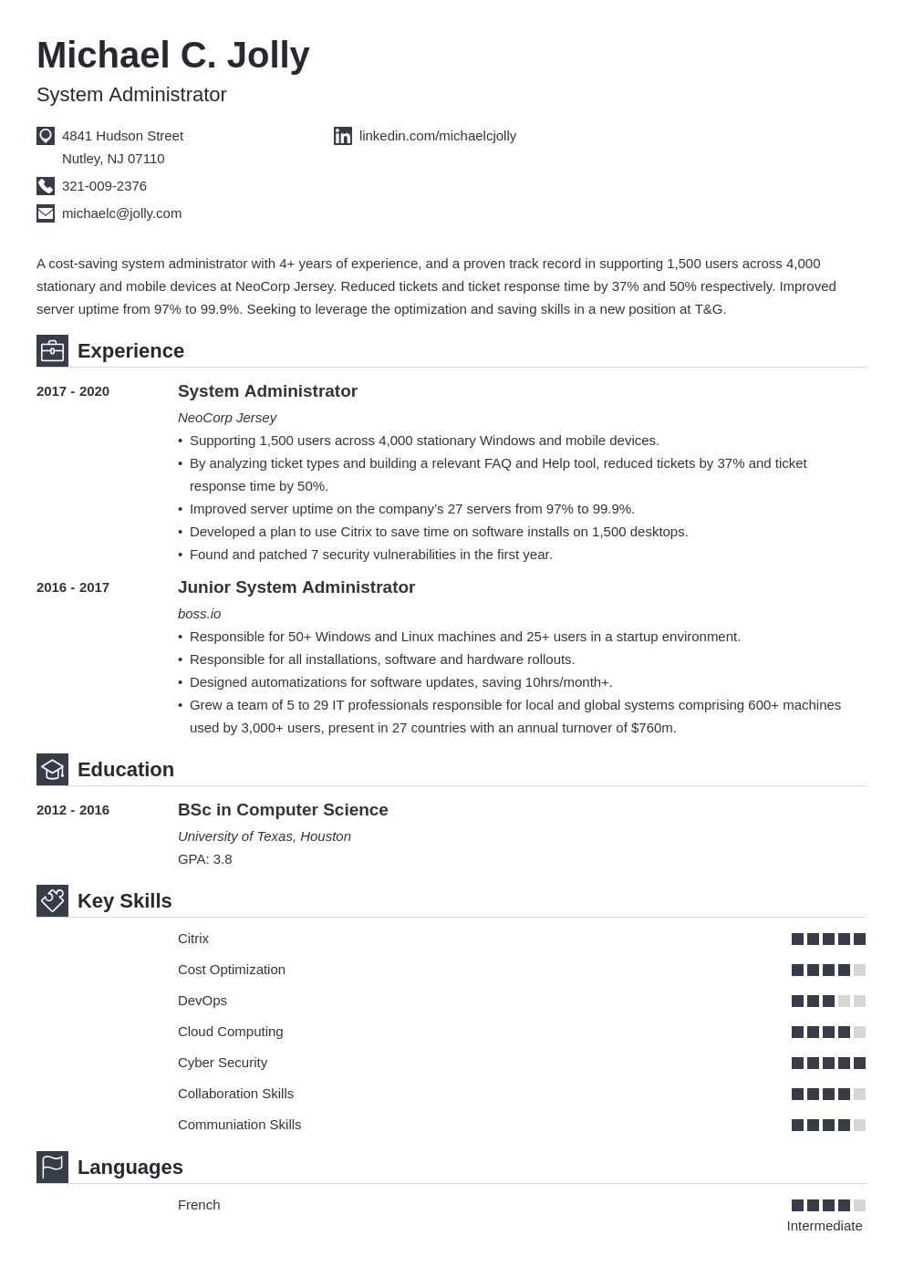 resume examples system administrator template iconic