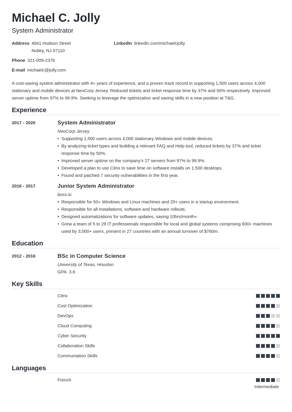 resume examples system administrator template nanica